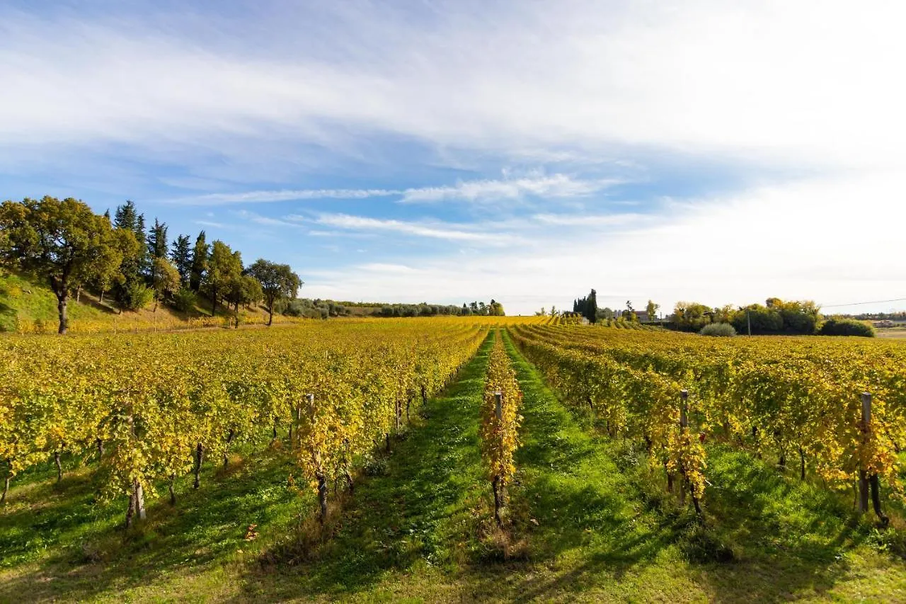 Vakantieboerderij Agriturismo Ai Prati Lazise